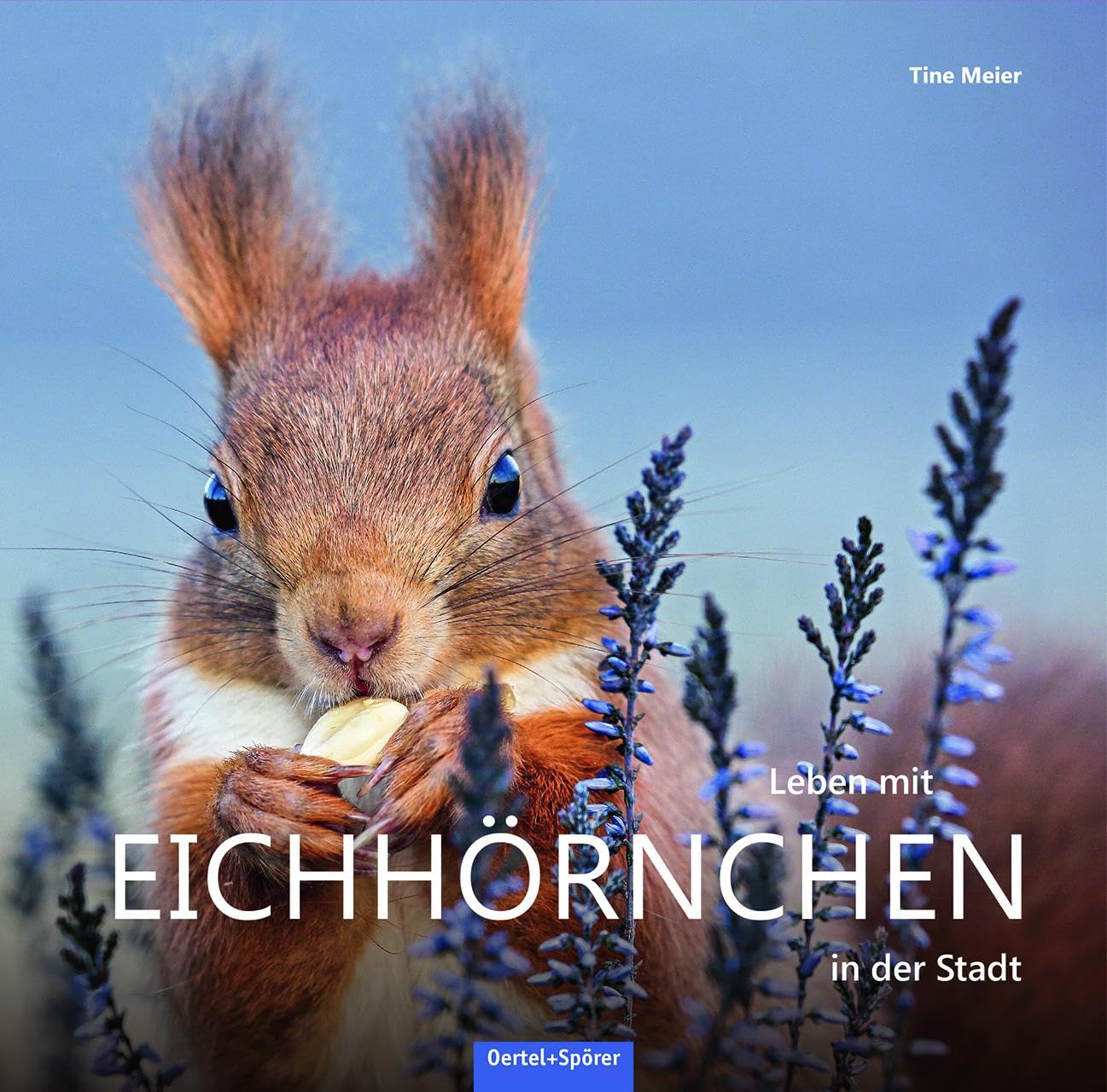 Product Image: Leben mit Eichhörnchen in der Stadt