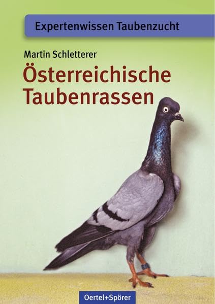 Österreichische Taubenrassen Pets