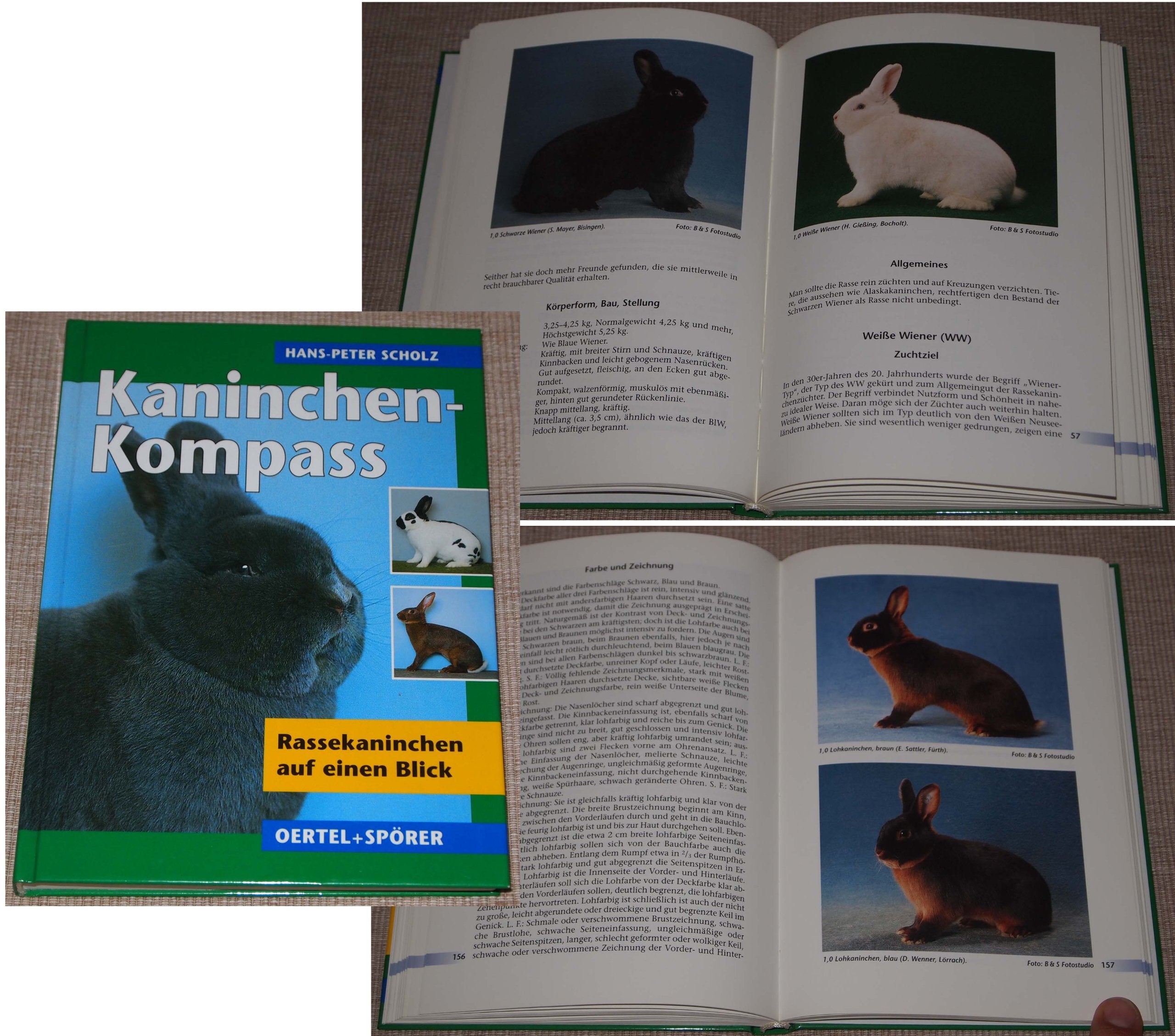 Kaninchen-Kompass: Rassekaninchen auf einen Blick Pets