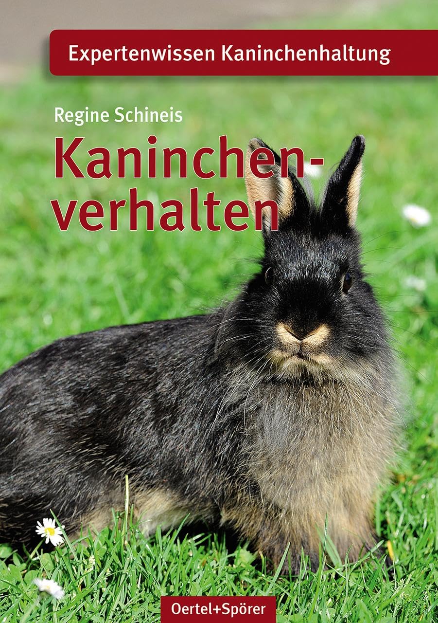 Kaninchenverhalten Pets