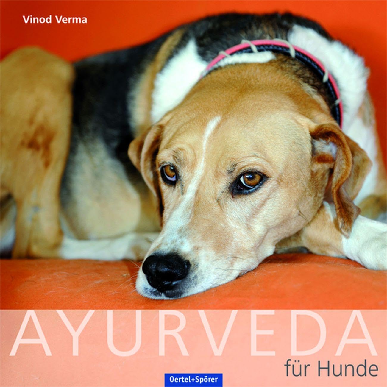 Ayurveda für Hunde Pets