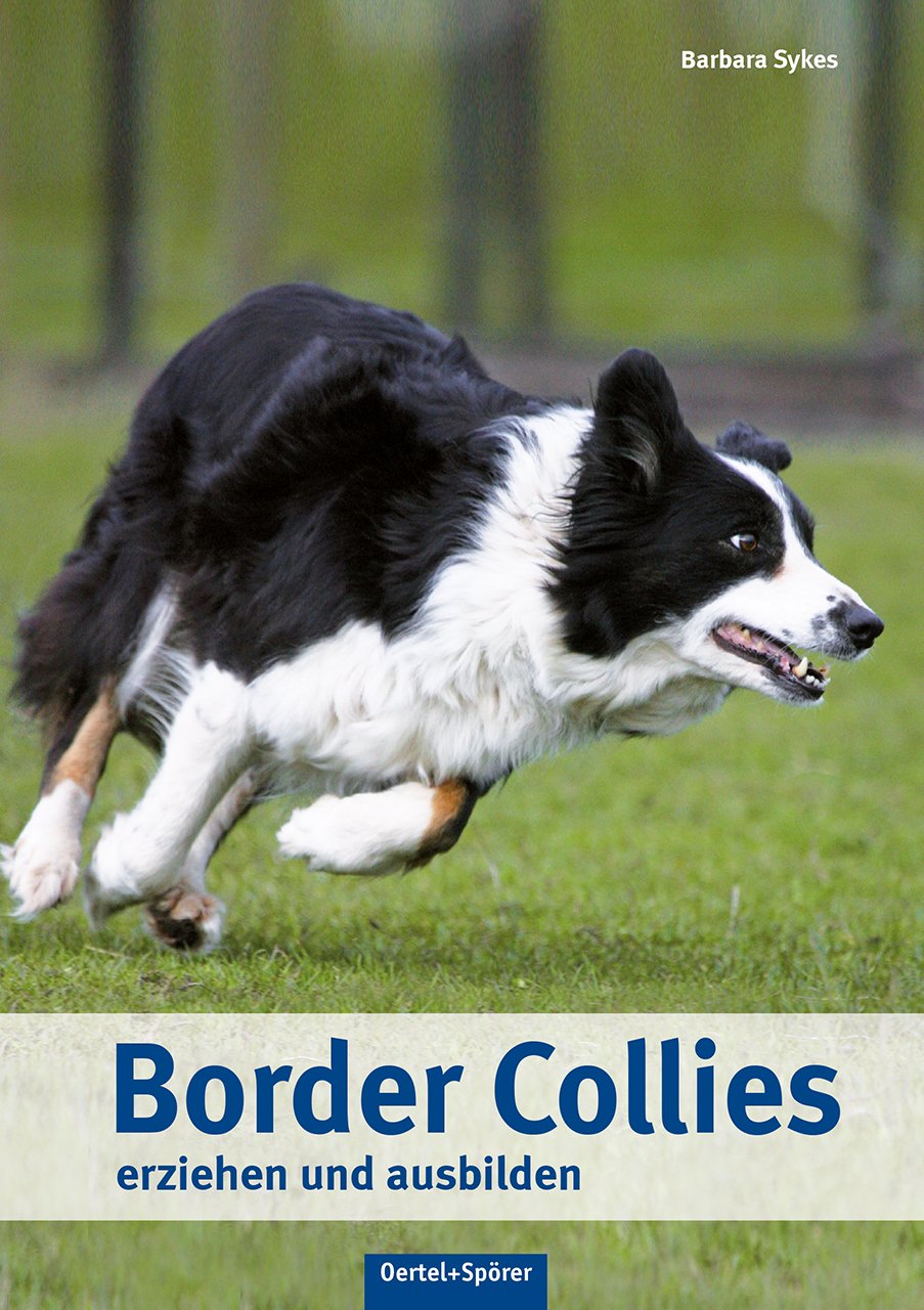 Border Collies erziehen und ausbilden Pets