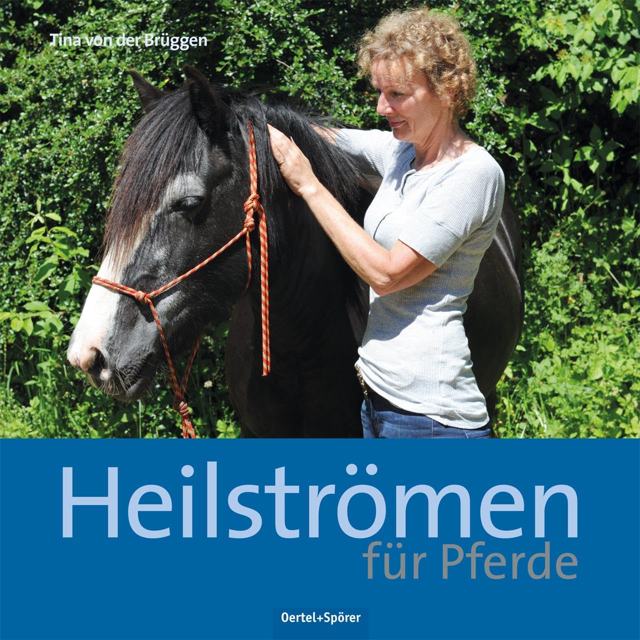 Heilströmen für Pferde Pets