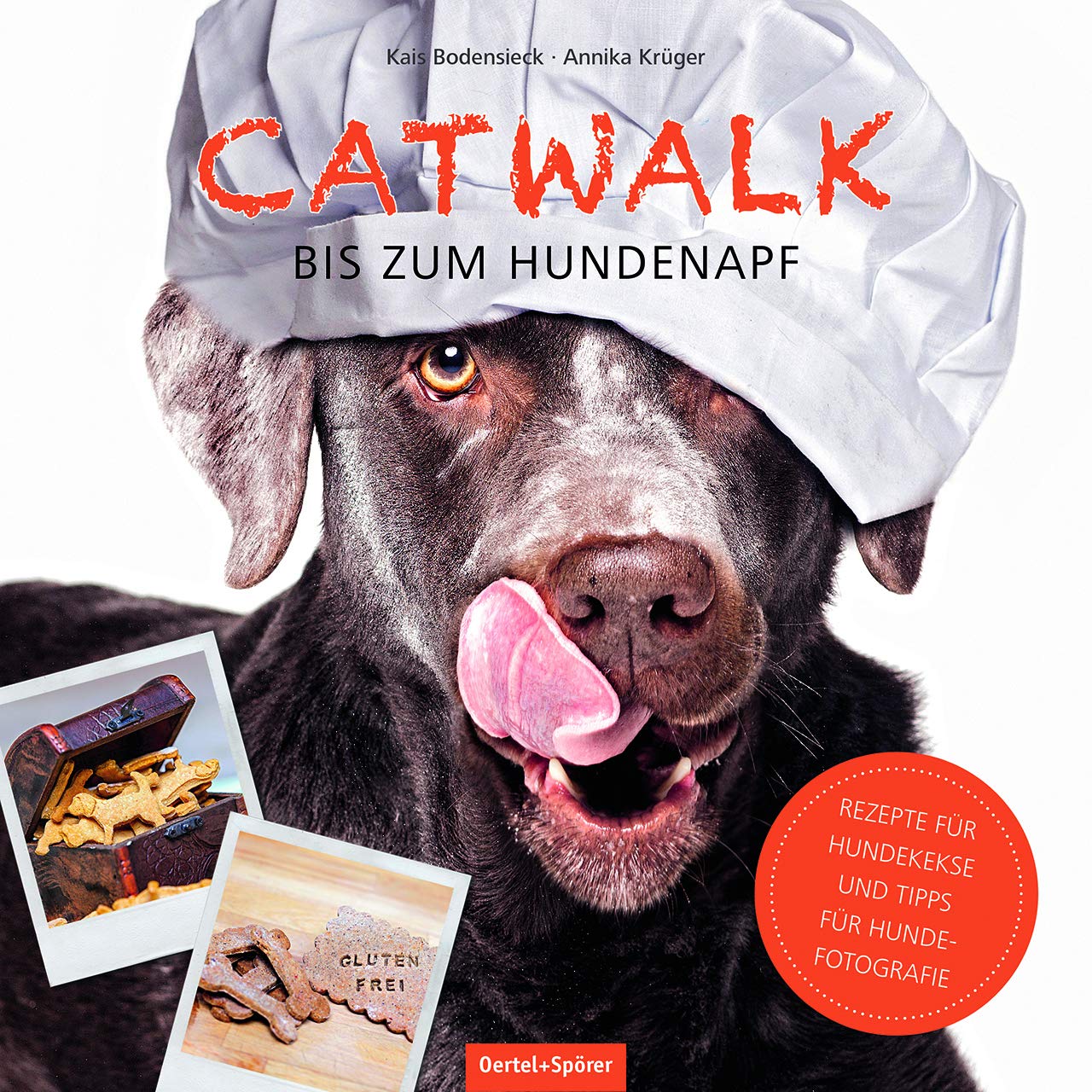 Catwalk bis zum Hundenapf Pets