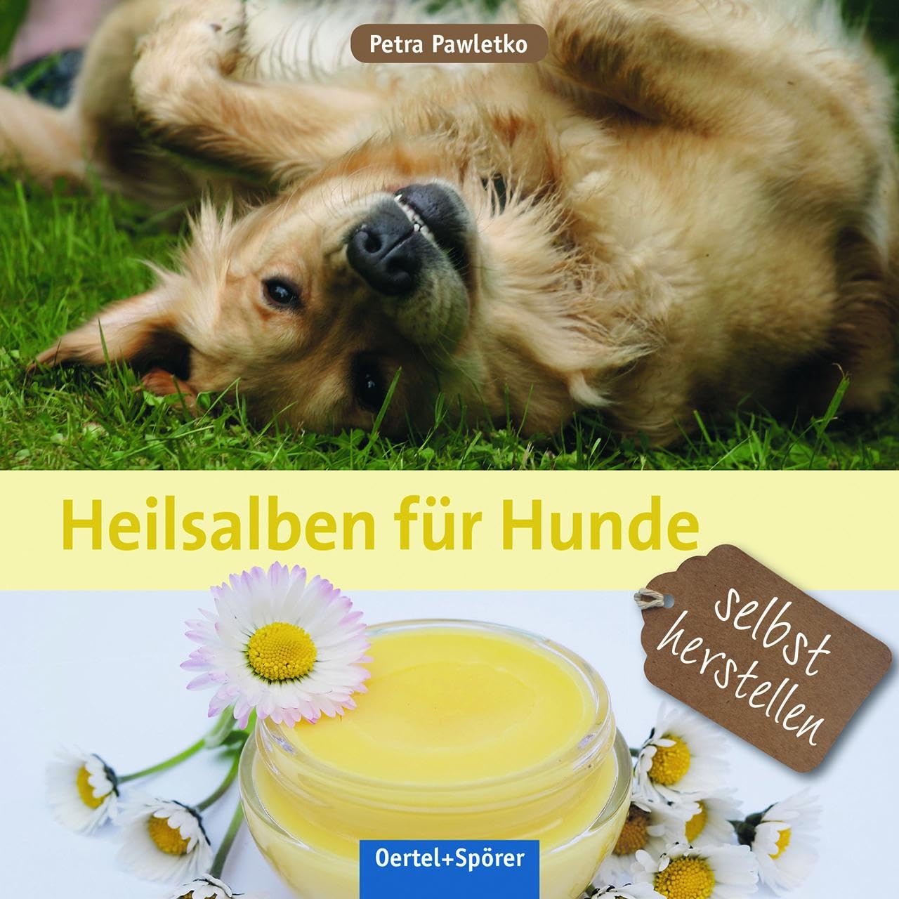 Heilsalben für Hunde selbst herstellen Pets