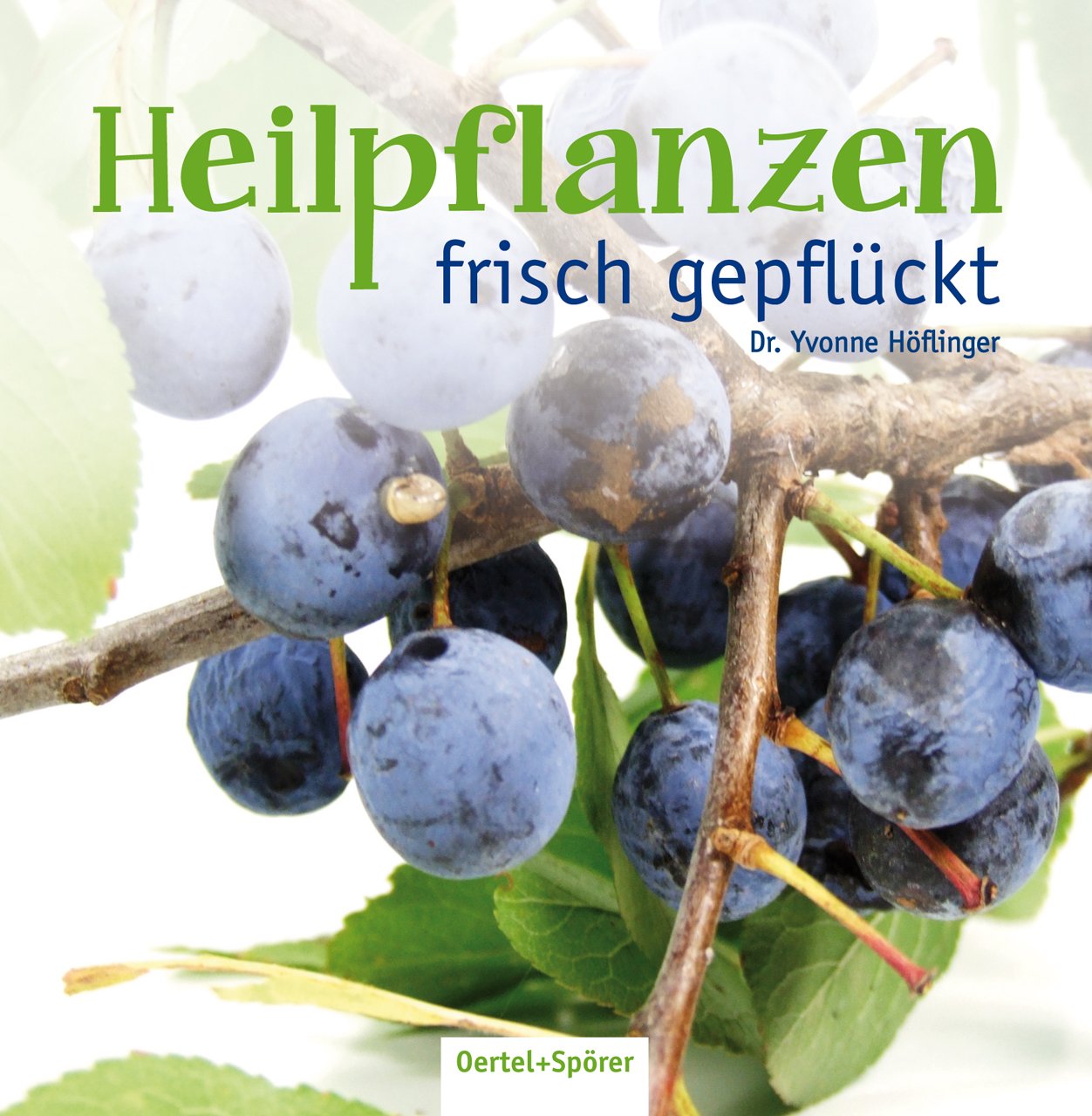 Heilpflanzen frisch gepflückt Leisure, Home & Garden
