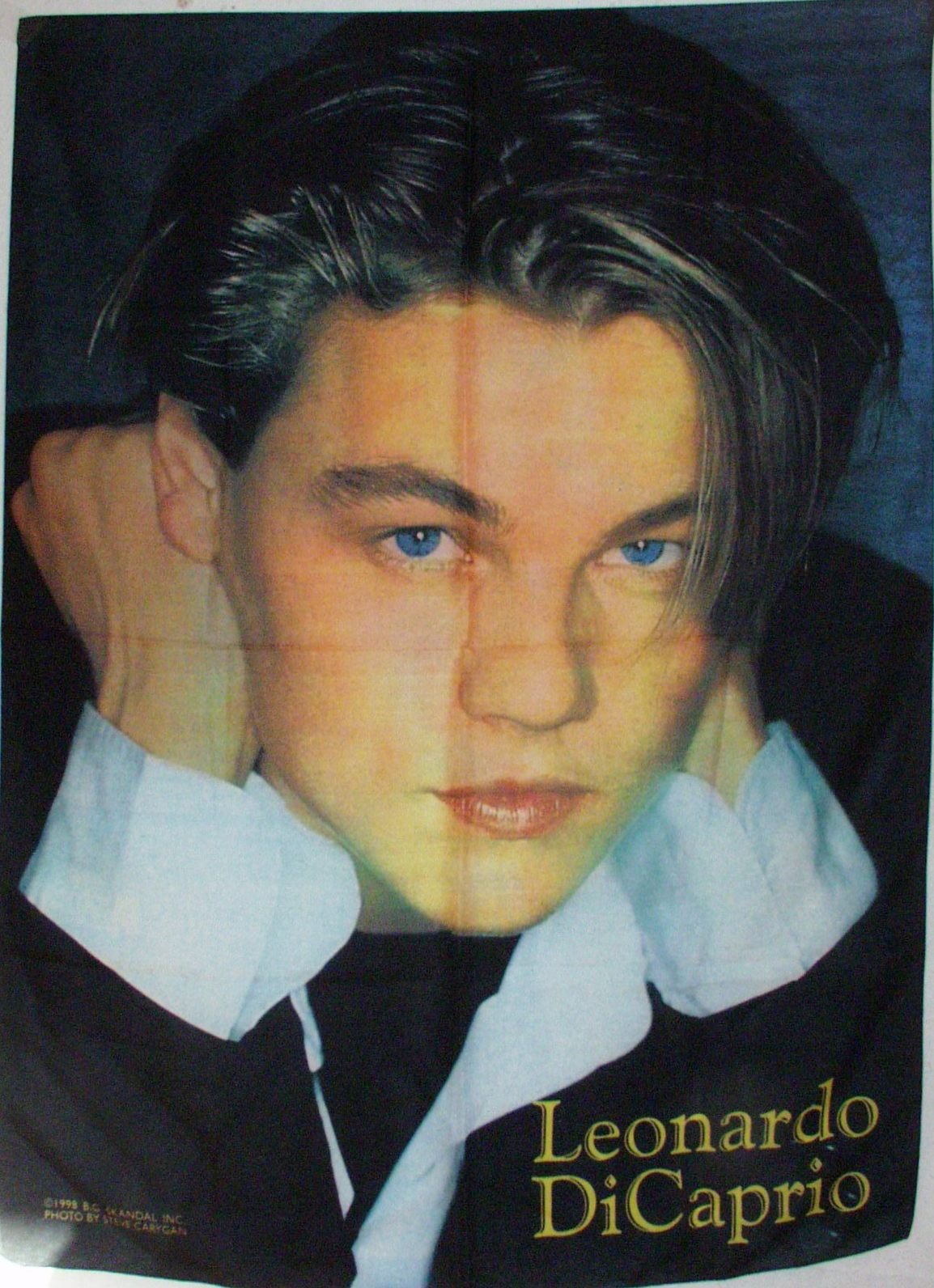 Leonardo DeCaprio Poster-Fahne Poster Flag No. 162 Format 77 x 107 cm Polyester Books