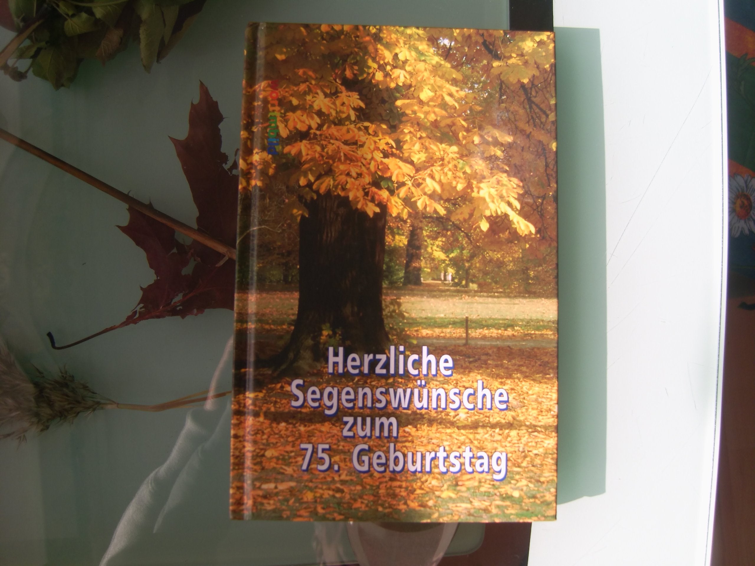 Herzliche Segenswünsche zum 75. Geburtstag Religion & Esotericism