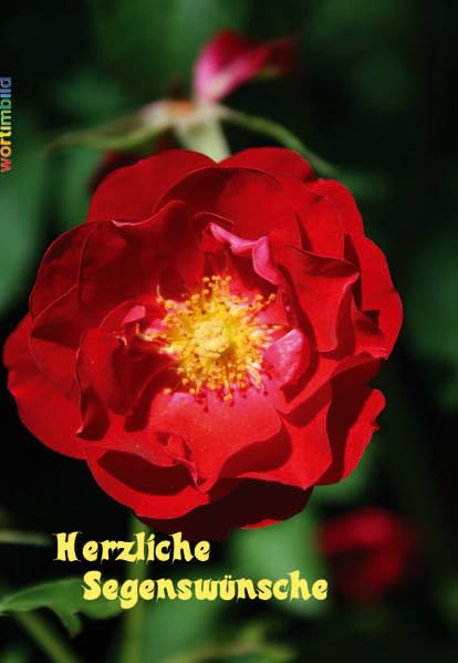 Herzliche Segenswünsche: Verteilheft A5 Religion & Esotericism