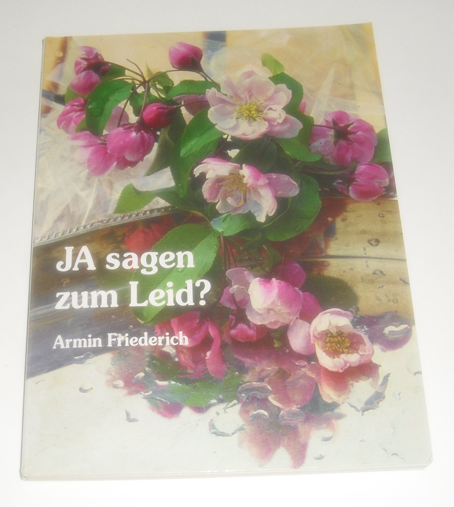 Ja sagen zum Leid: Gruss für Trauernde Books