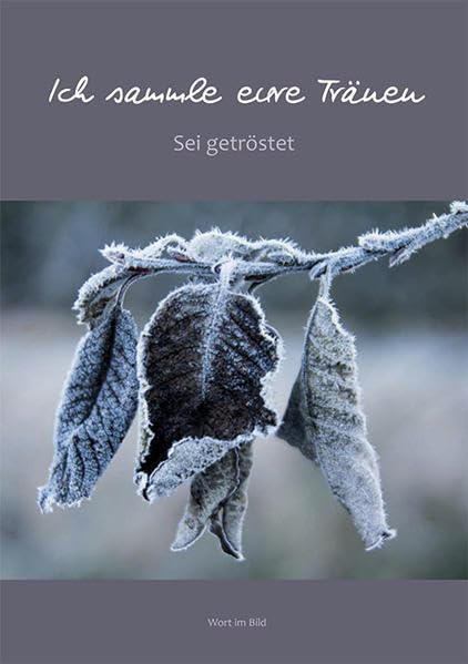 Ich sammle eure Tränen: Seid getröstet book