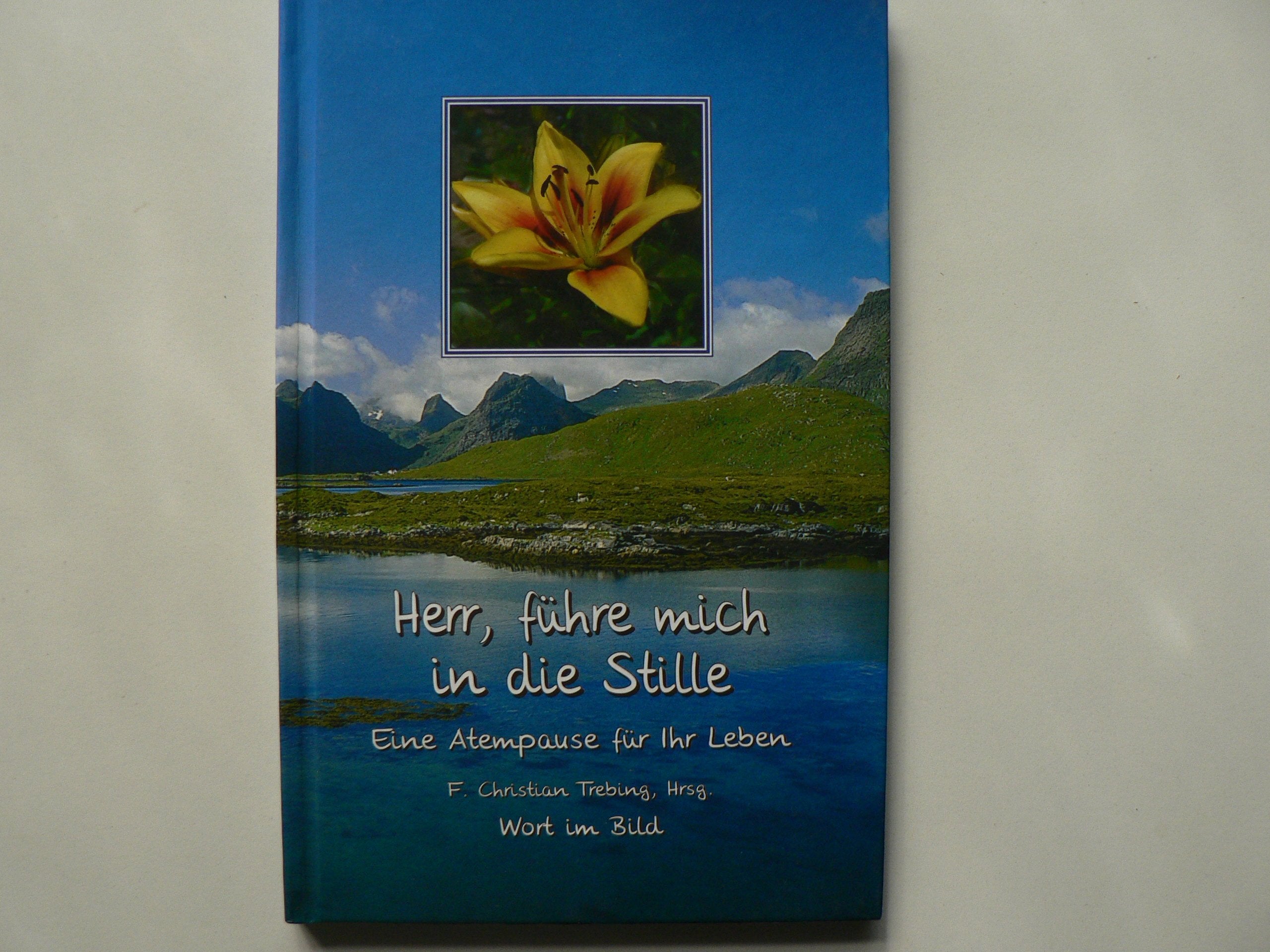 Herr, führe mich in die Stille. Eine Atempause für Ihr Leben Books