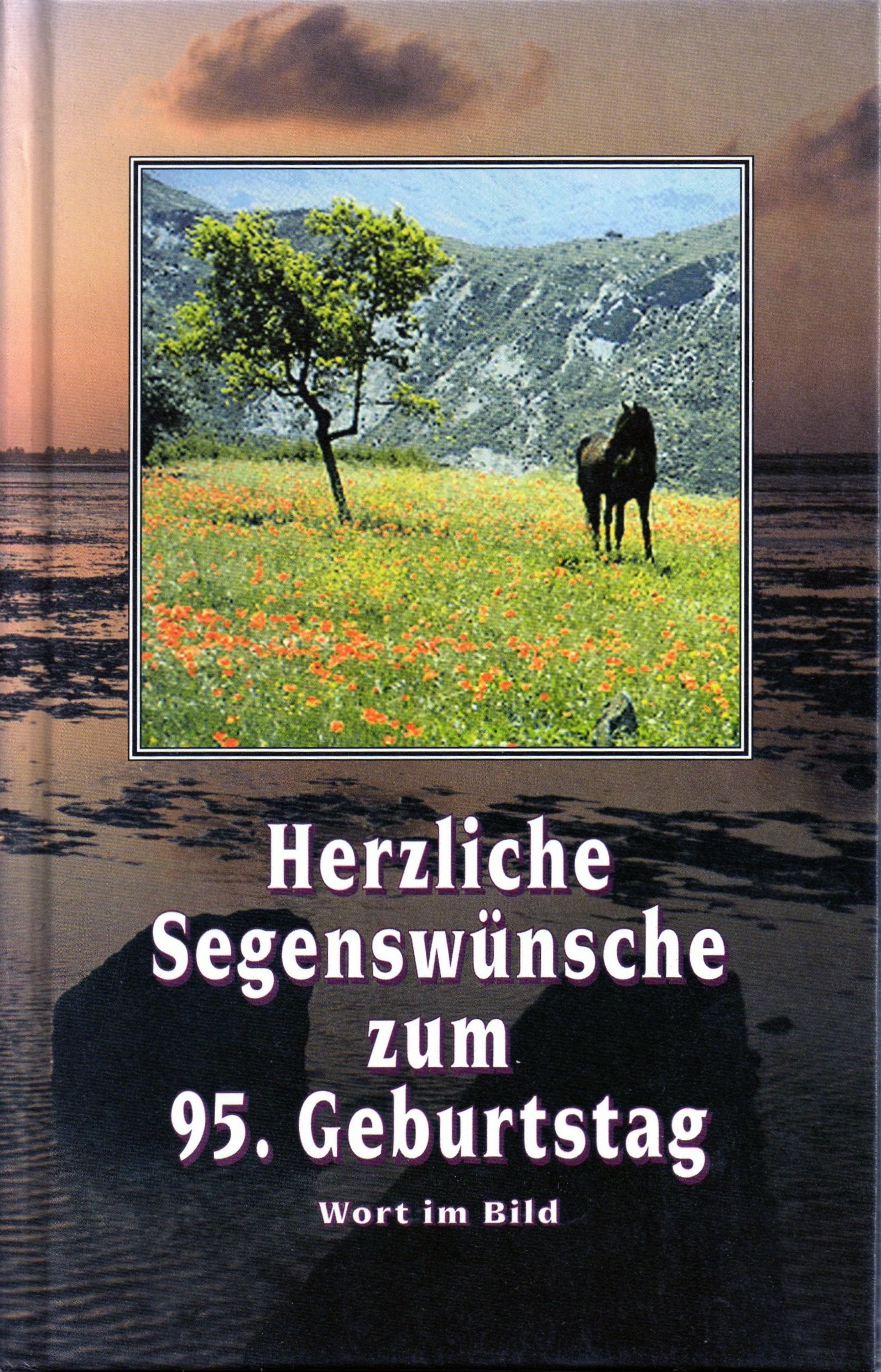 Herzliche Segenswünsche zum 95. Geburtstag: Bildband Film, Art & Culture