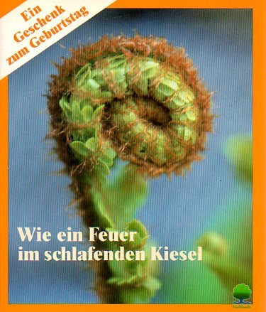 Wie ein Feuer im schlafenden Kiesel. Ein Geschenk zum Geburtstag Books