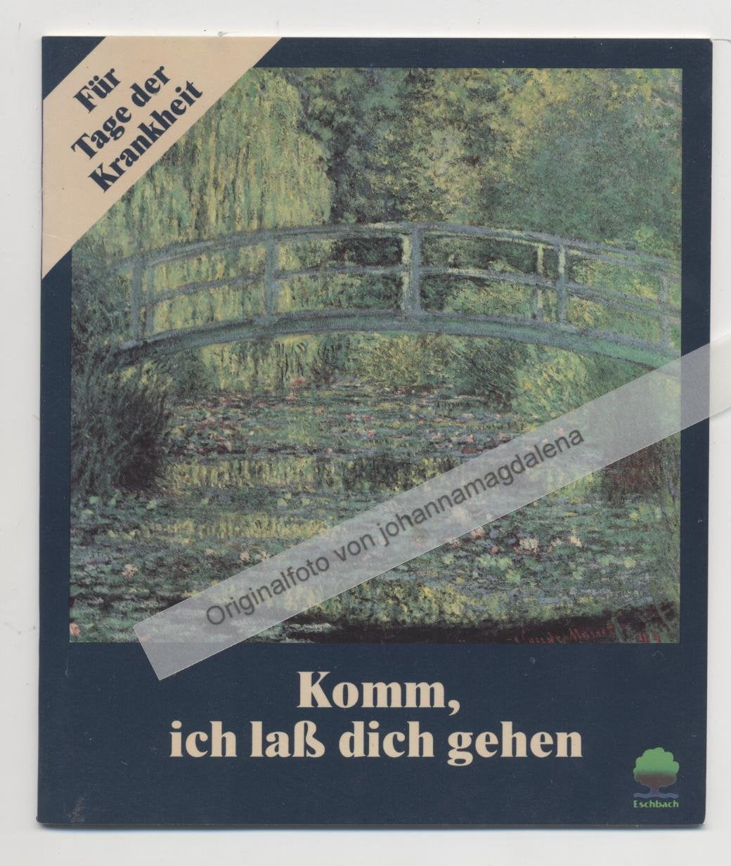 Komm, ich lass dich gehen: Kranke und Schwerkranke zuhause pflegen (Eschbacher Geschenkhefte) Religion & Esotericism
