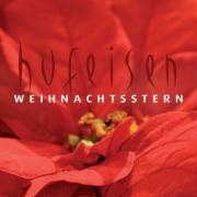 Weihnachtsstern: Musik-CD Film, Art & Culture