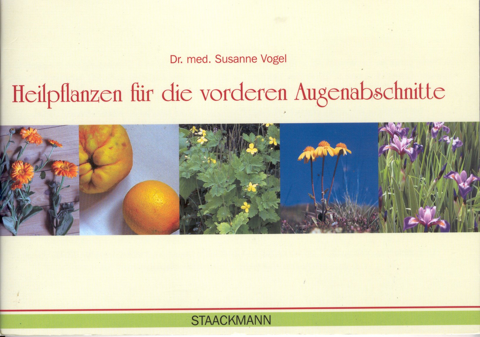 Heilpflanzen für die vorderen Augenabschnitte Medicine