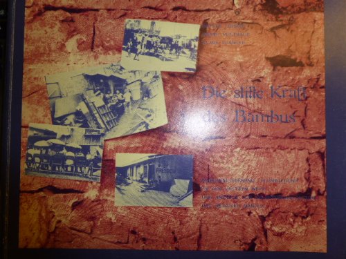 Die stille Kraft des Bambus. Marginalisierung, Slumbildung in der Dritten Welt und Ansätze zur Selbstorganisation: Das Beispiel Manila Books