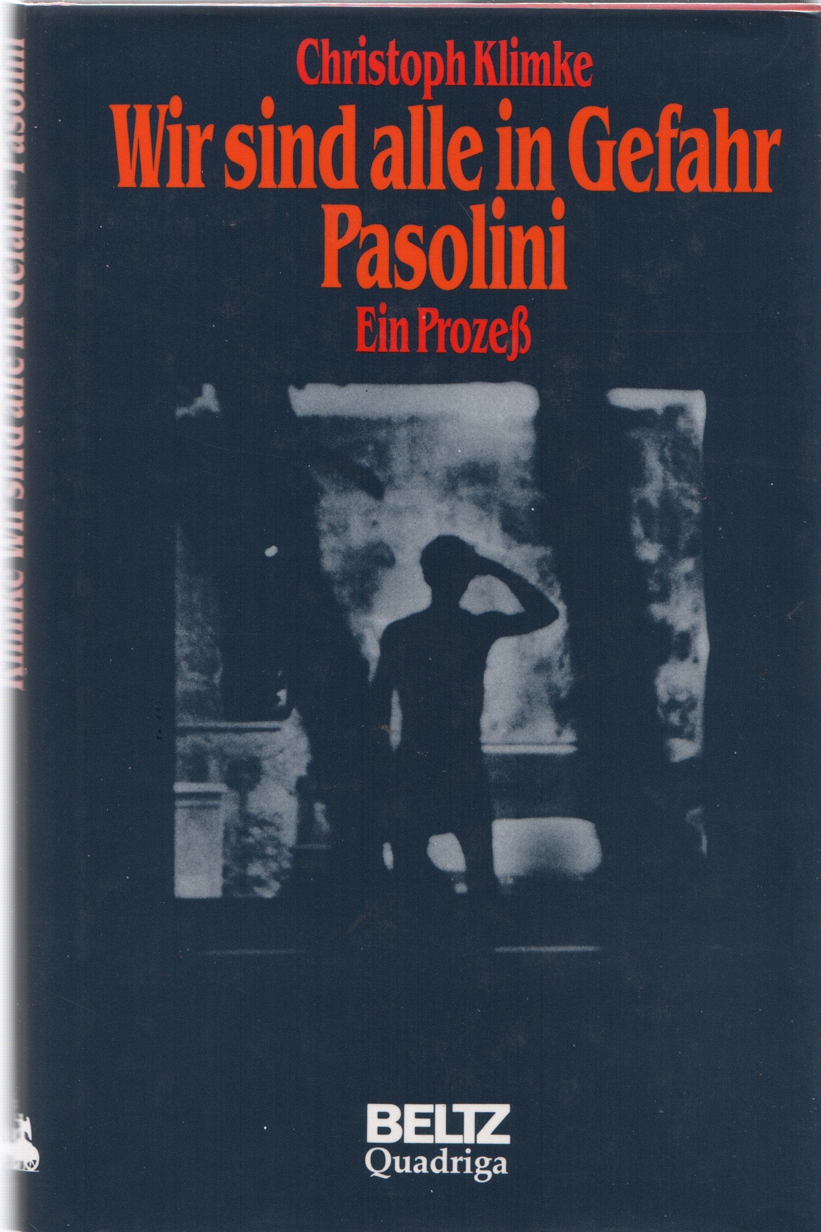 Wir sind alle in Gefahr. Pasolini. Ein Prozess Foreign Languages ​​& Dictionaries