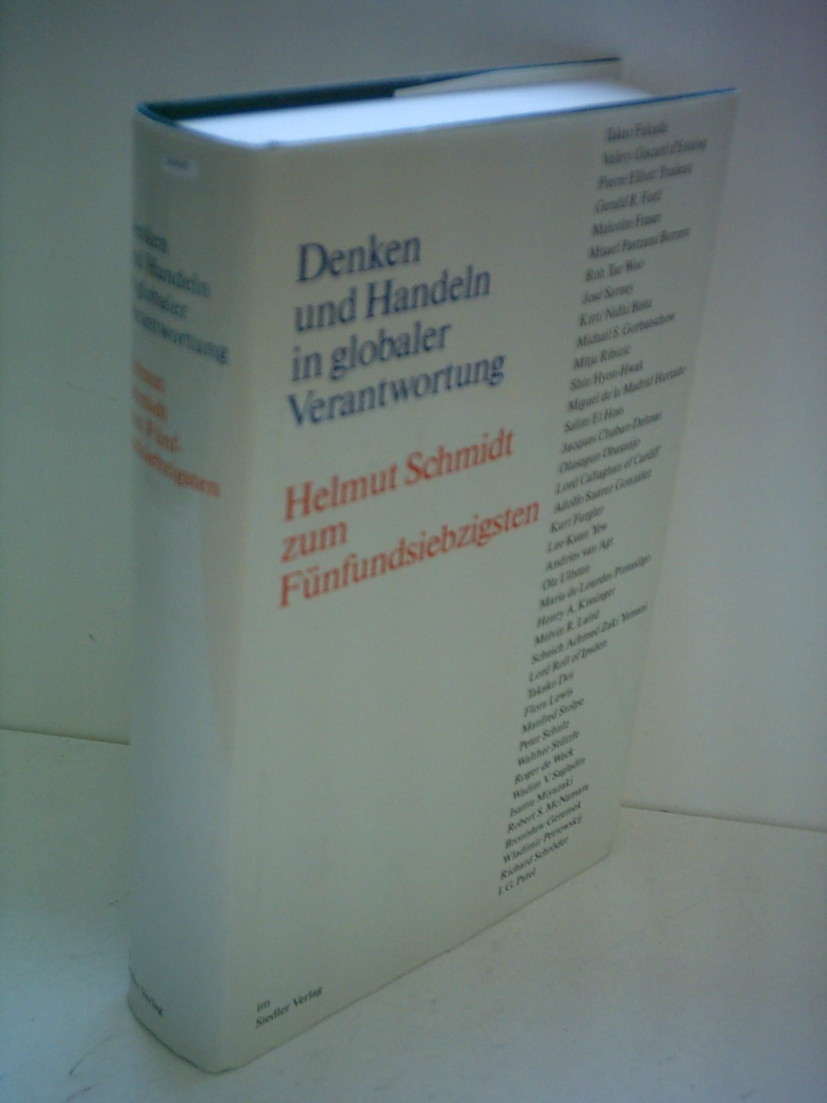 Denken und Handeln in globaler Verantwortung Professional & Reference Books