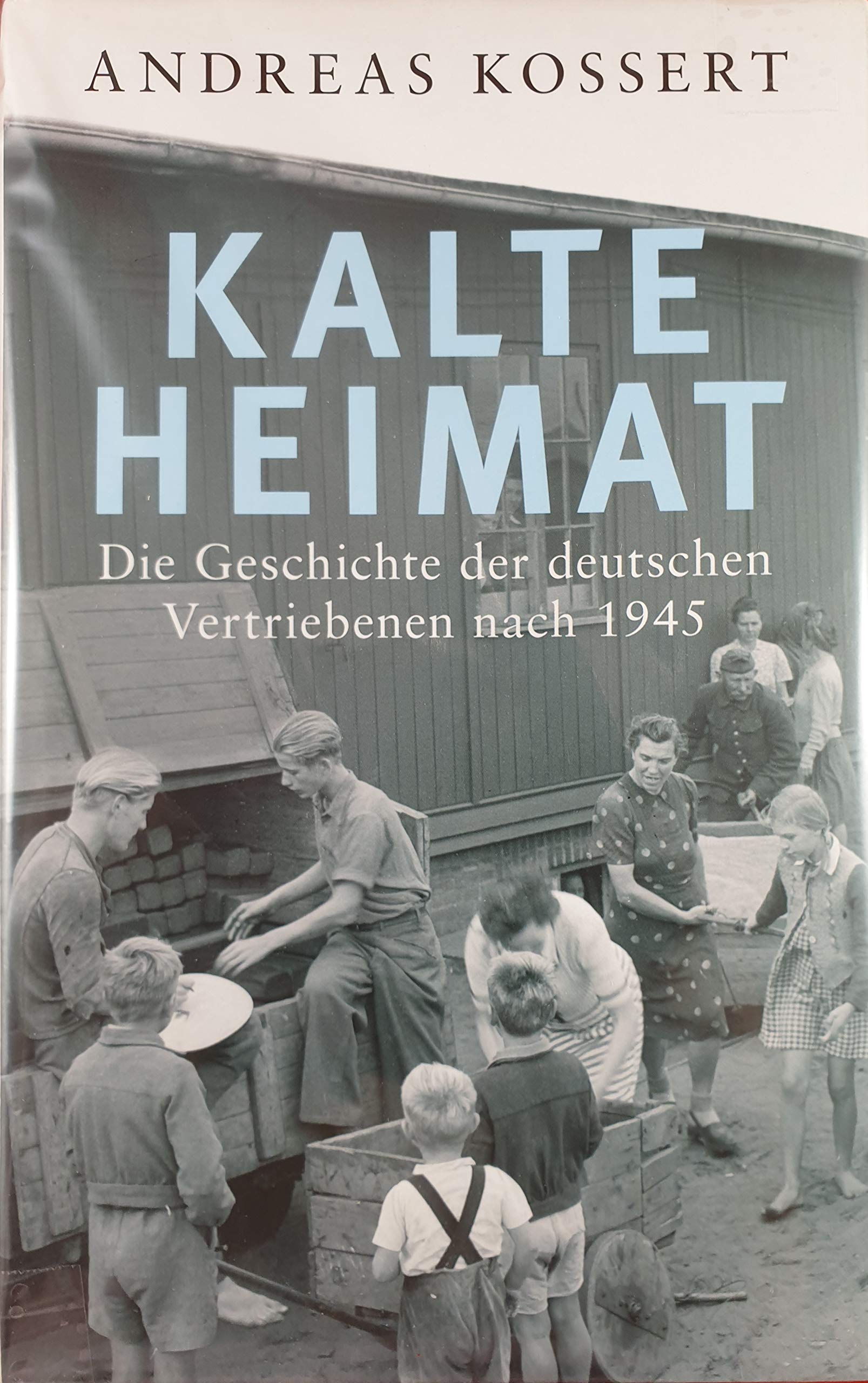 Kalte Heimat: Die Geschichte der deutschen Vertriebenen nach 1945 Politics & History