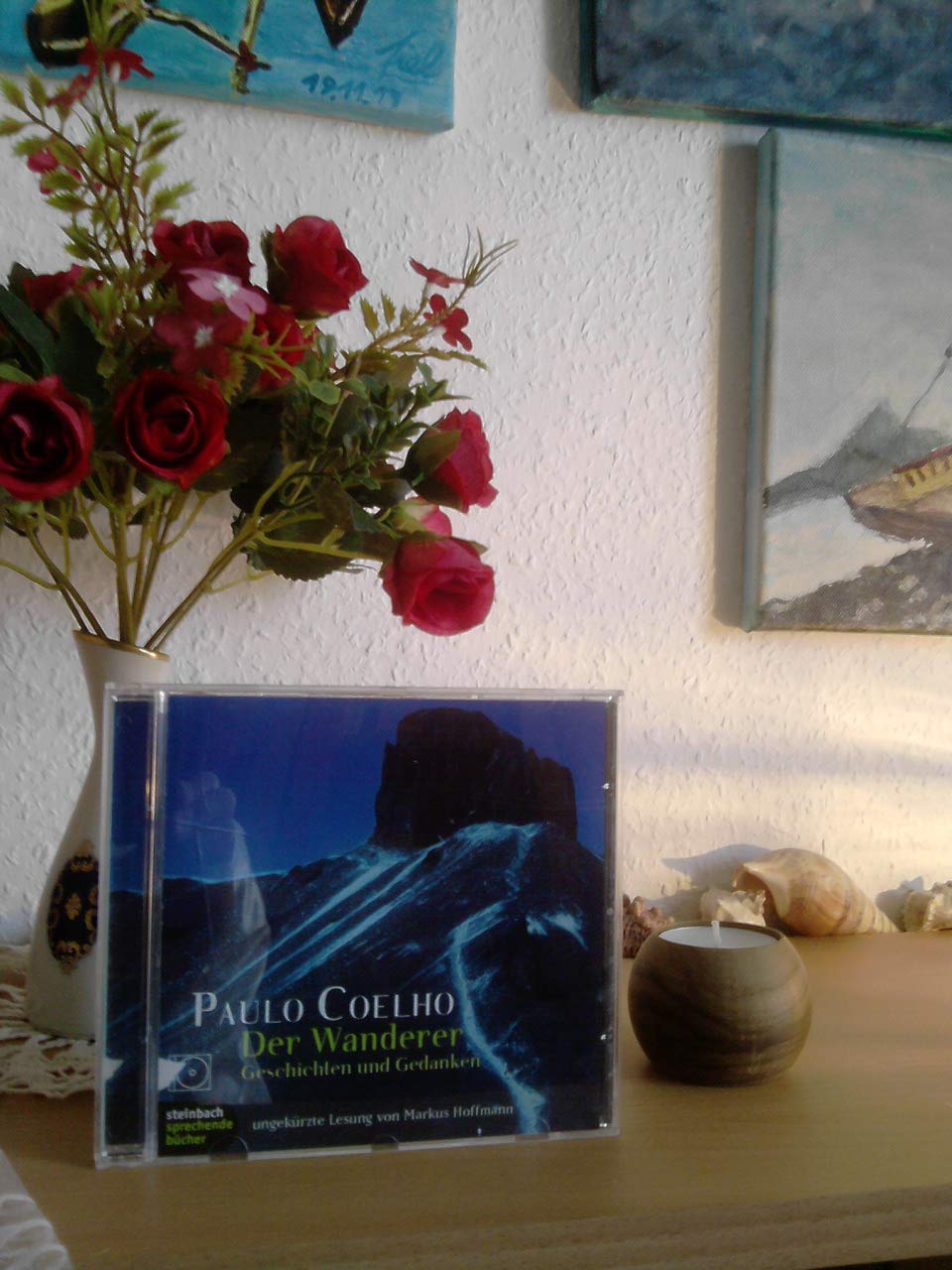 Der Wanderer. Geschichten und Gedanken. 1 CD International