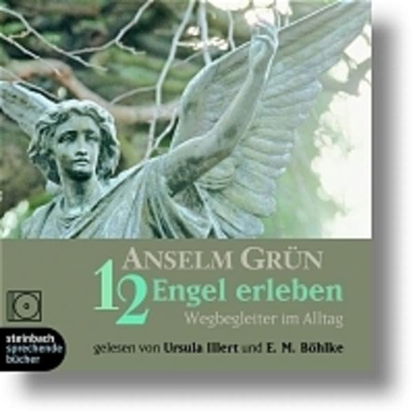 12 Engel erleben - Wegbegleiter im Alltag: Ein Inspirationshörbuch. Ungekürze Lesung mit Musik: Wegbegleiter im Alltag. Ungekürzte Lesung mit Musik (steinbach sprechende buecher) Religion & Esotericism