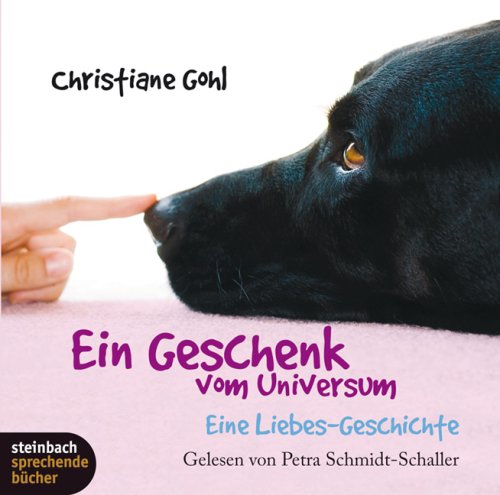 Ein Geschenk vom Universum: Eine Liebes-Geschichte. 2 CDs Contemporary literature