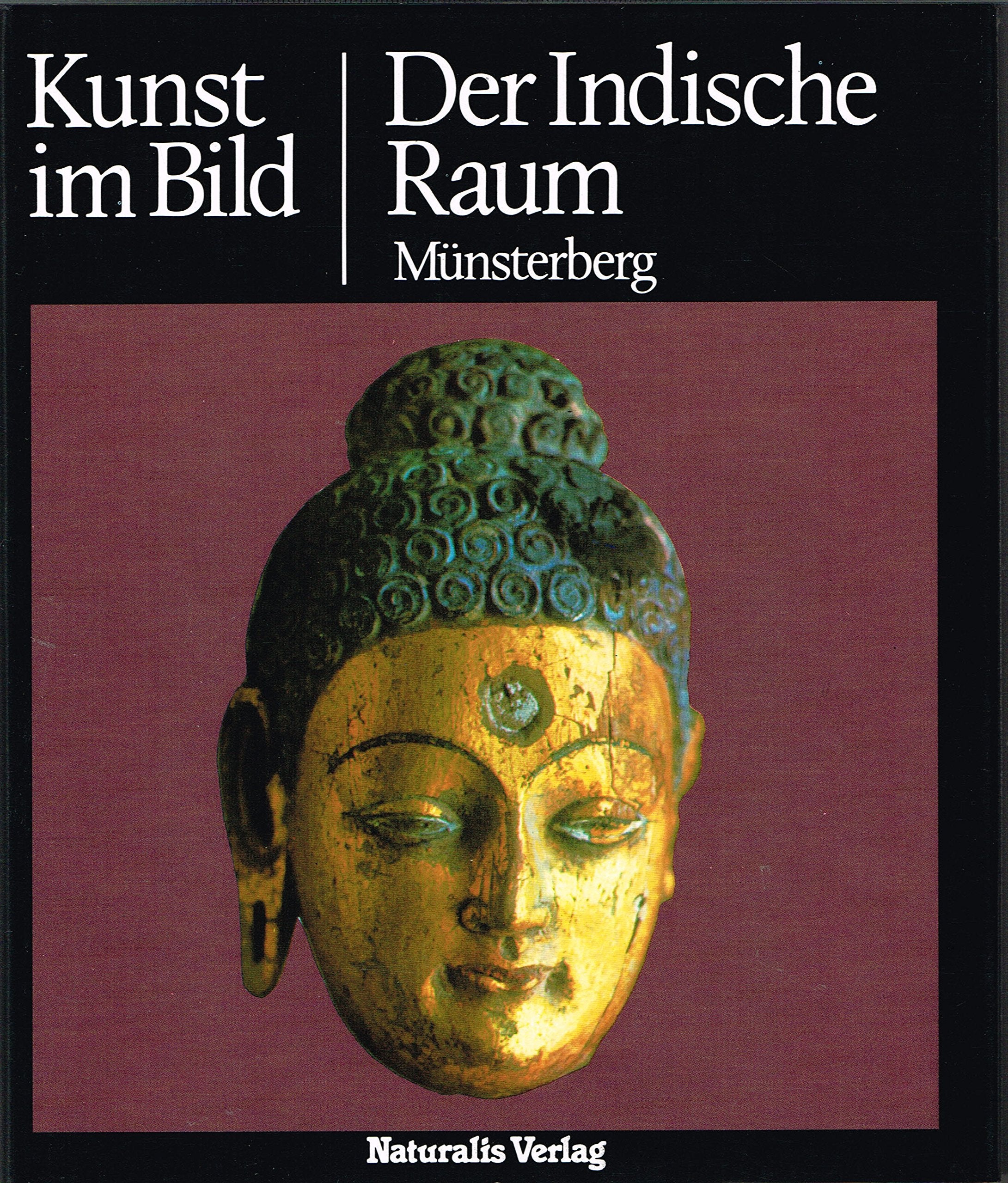 Kunst im Bild: Der Indische Raum Art & Literature