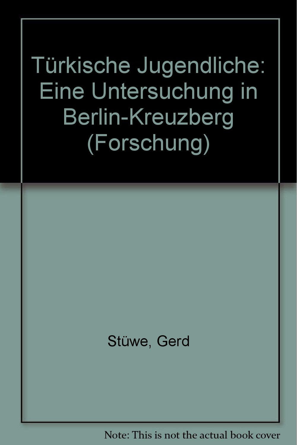 Türkische Jugendliche. Eine Untersuchung in Berlin- Kreuzberg Books