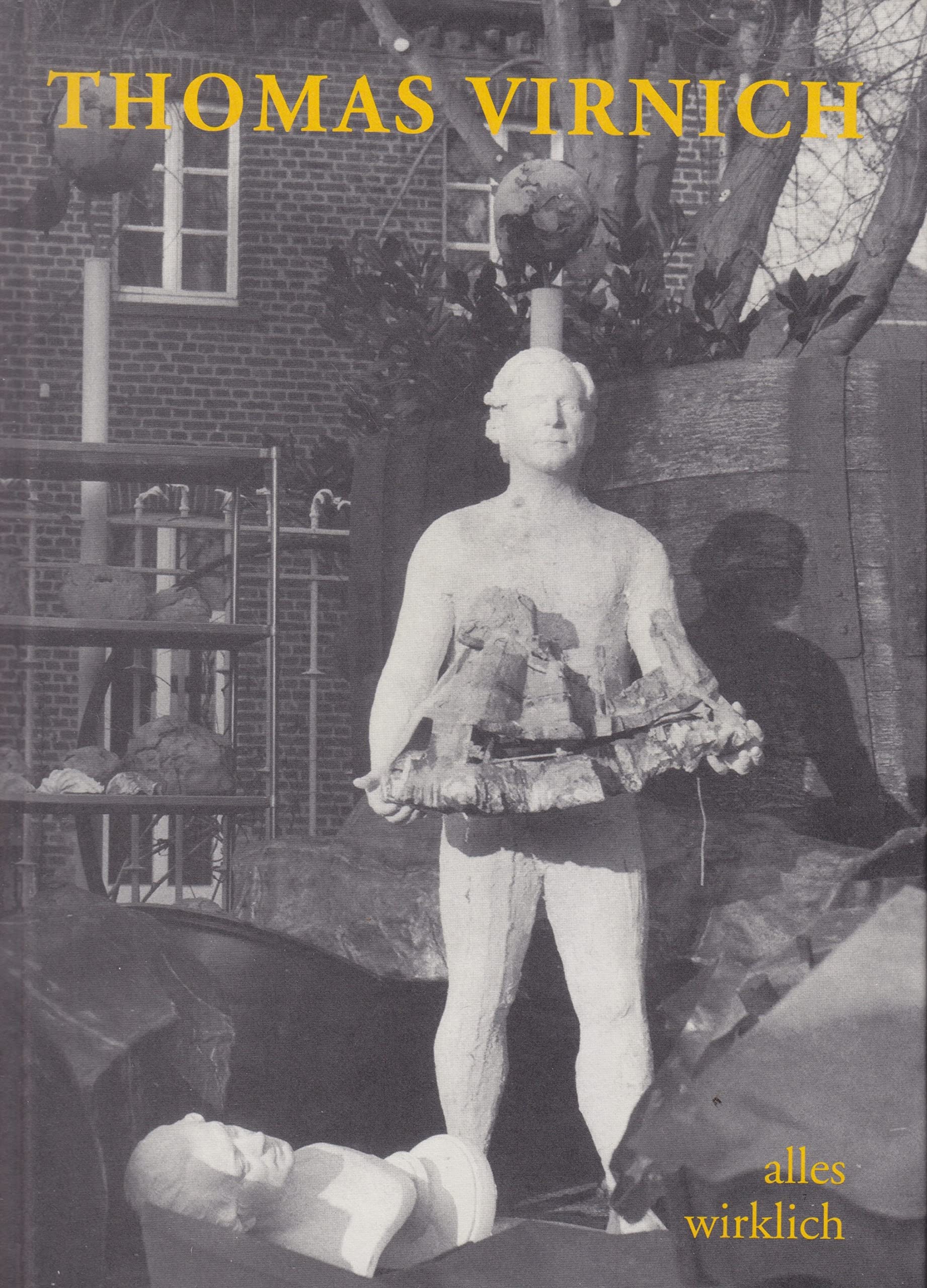 Thomas Virnich : alles wirklich. Books