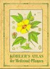 Kohler'S Atlas Der Medizinal-Pflanzen book