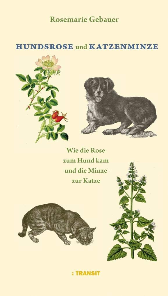Hundsrose und Katzenminze Poetry