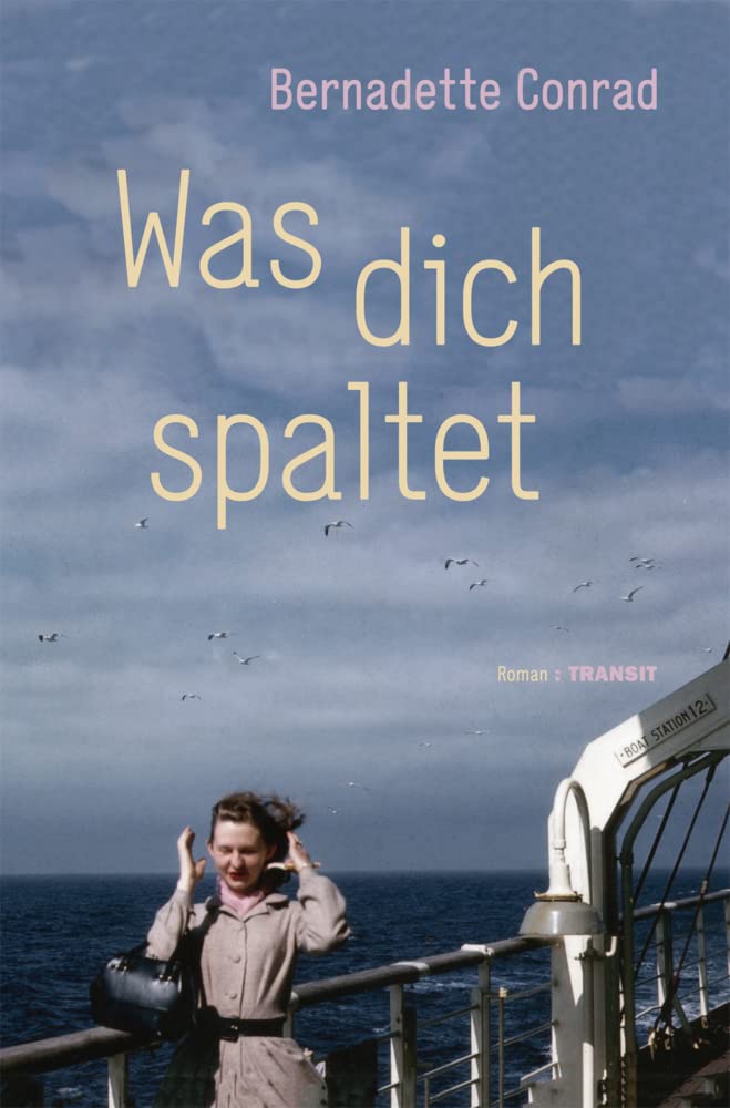 Was dich spaltet Contemporary literature Books