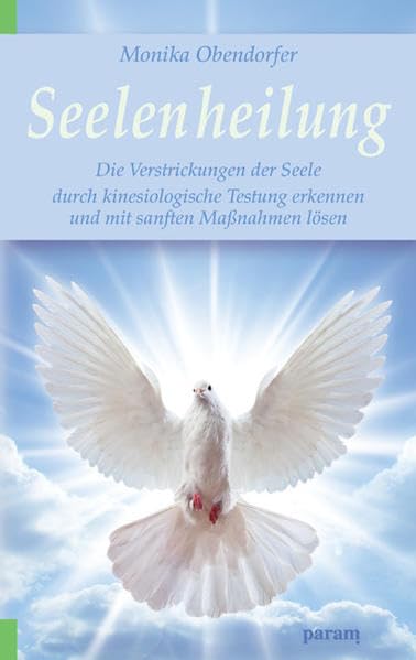 Seelenheilung: Die Verstrickungen der Seele durch kinesiologische Testung erkennten und mit sanften Maßnahmen lösen Medicine