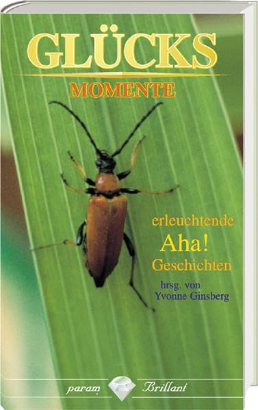 Glücksmomente: Erleuchtende Aha-Geschichten (Param Brillant) Living & Furnishing