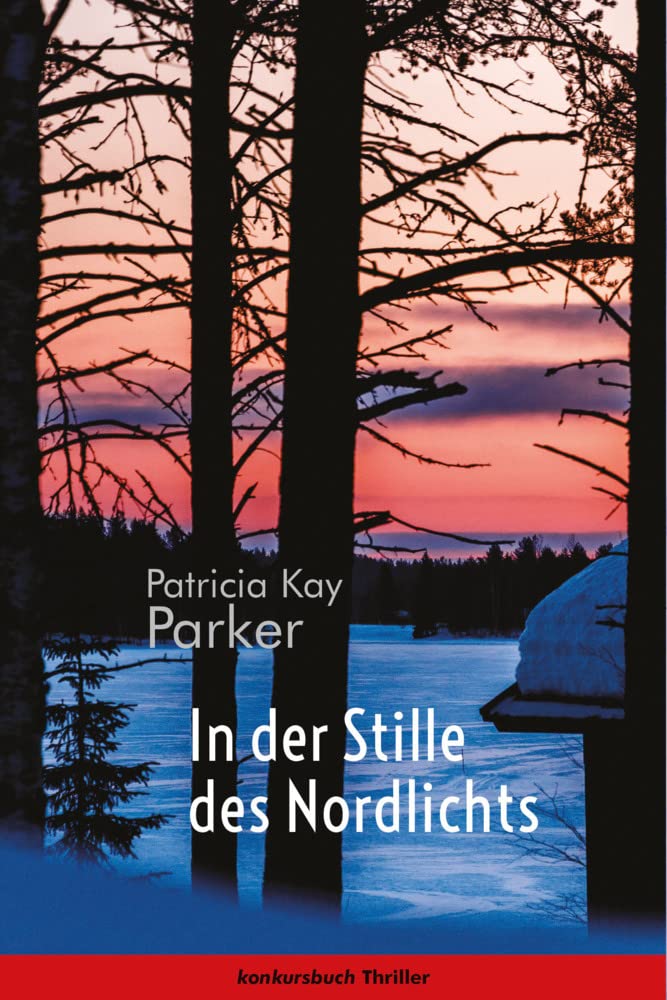 In der Stille des Nordlichts Contemporary literature