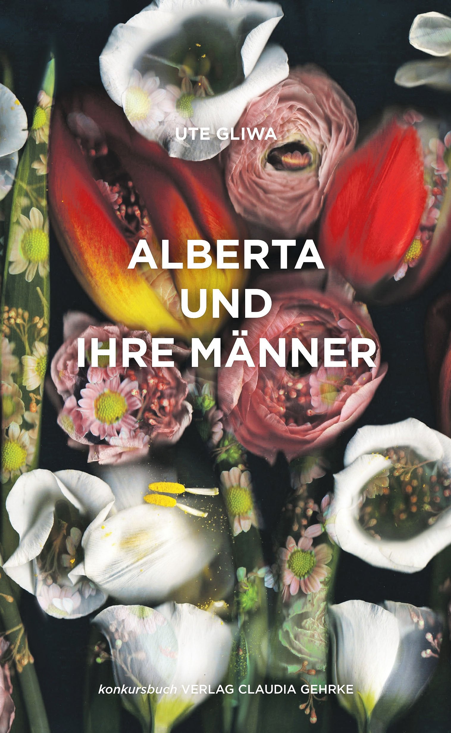 Alberta und ihre Männer: Roman Contemporary literature