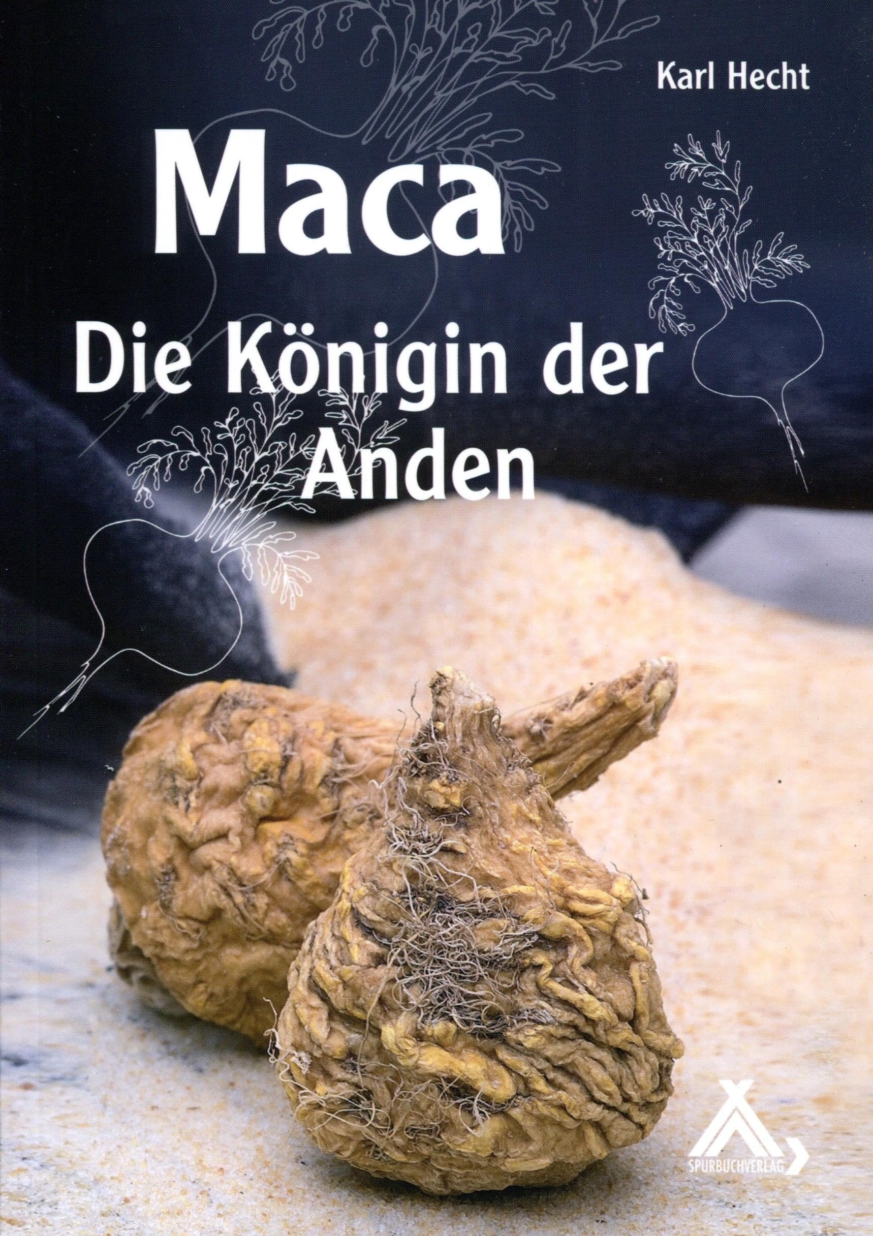 Maca - Die Königin der Anden Medicine