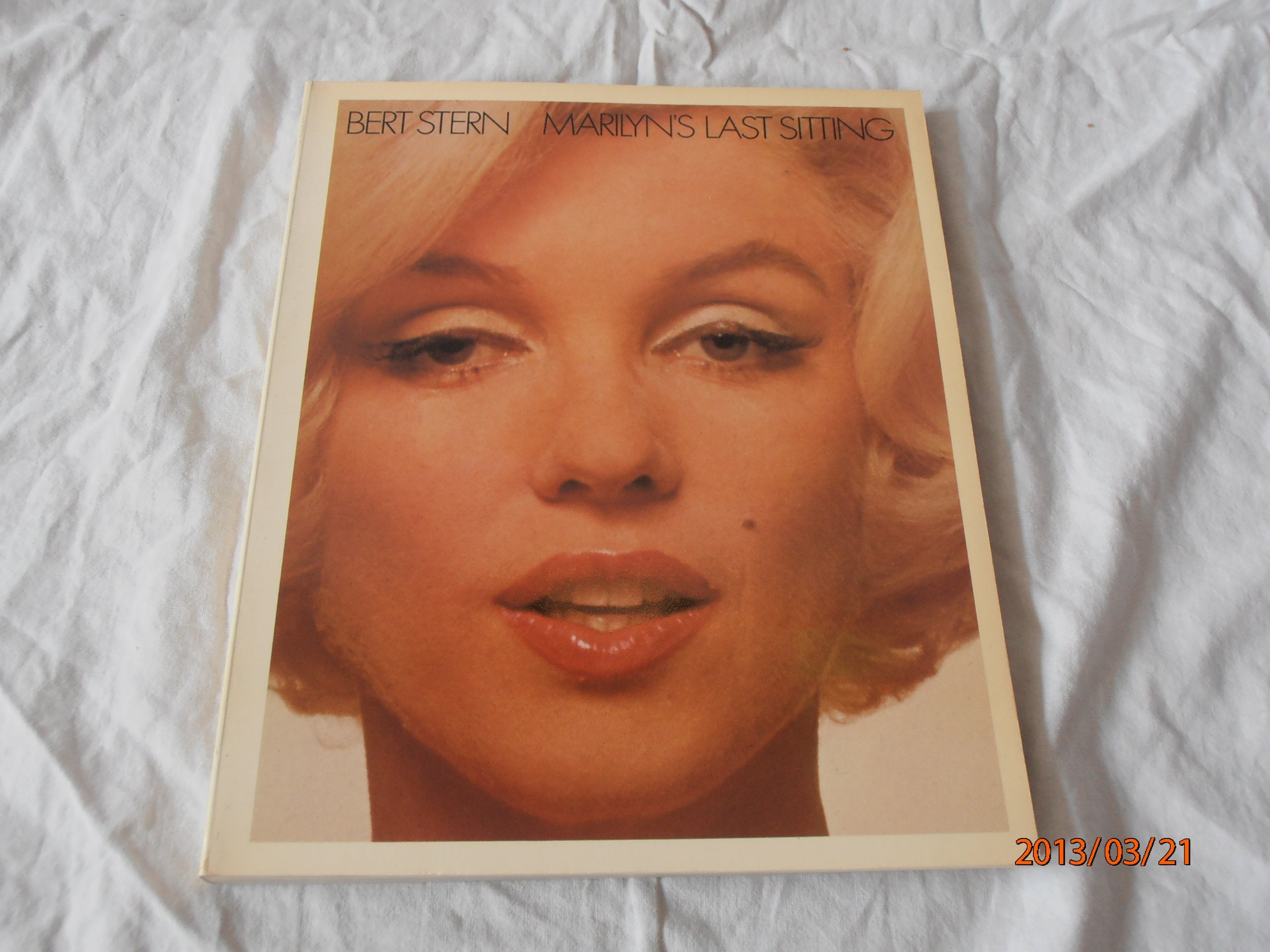 Marilyn's Last Sitting Books