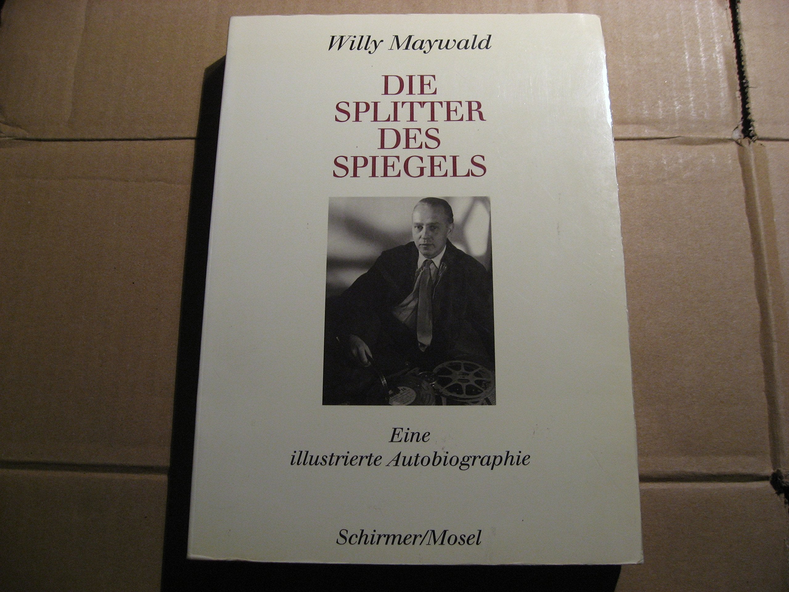 Die Splitter des Spiegels. Eine illustrierte Autobiographie Books