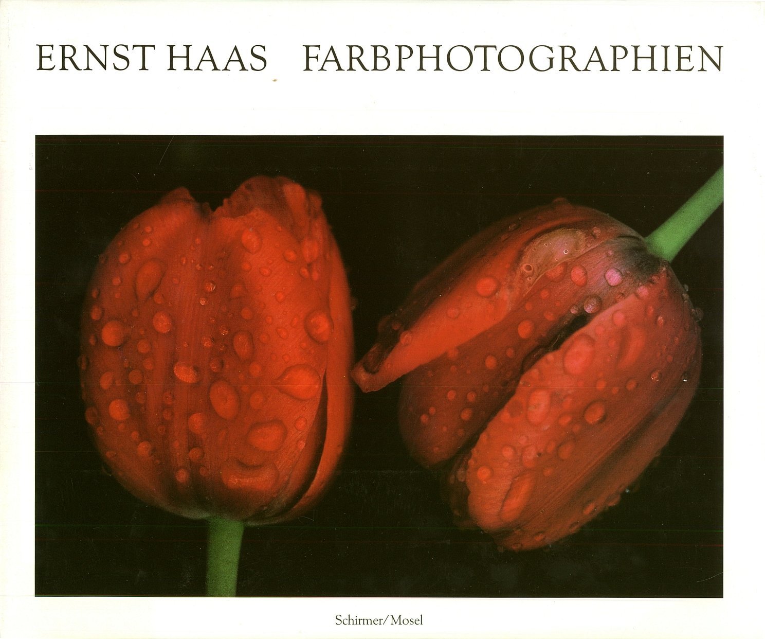 Farbphotographien. Sonderausgabe. Mit ausgewählten Texten Photography