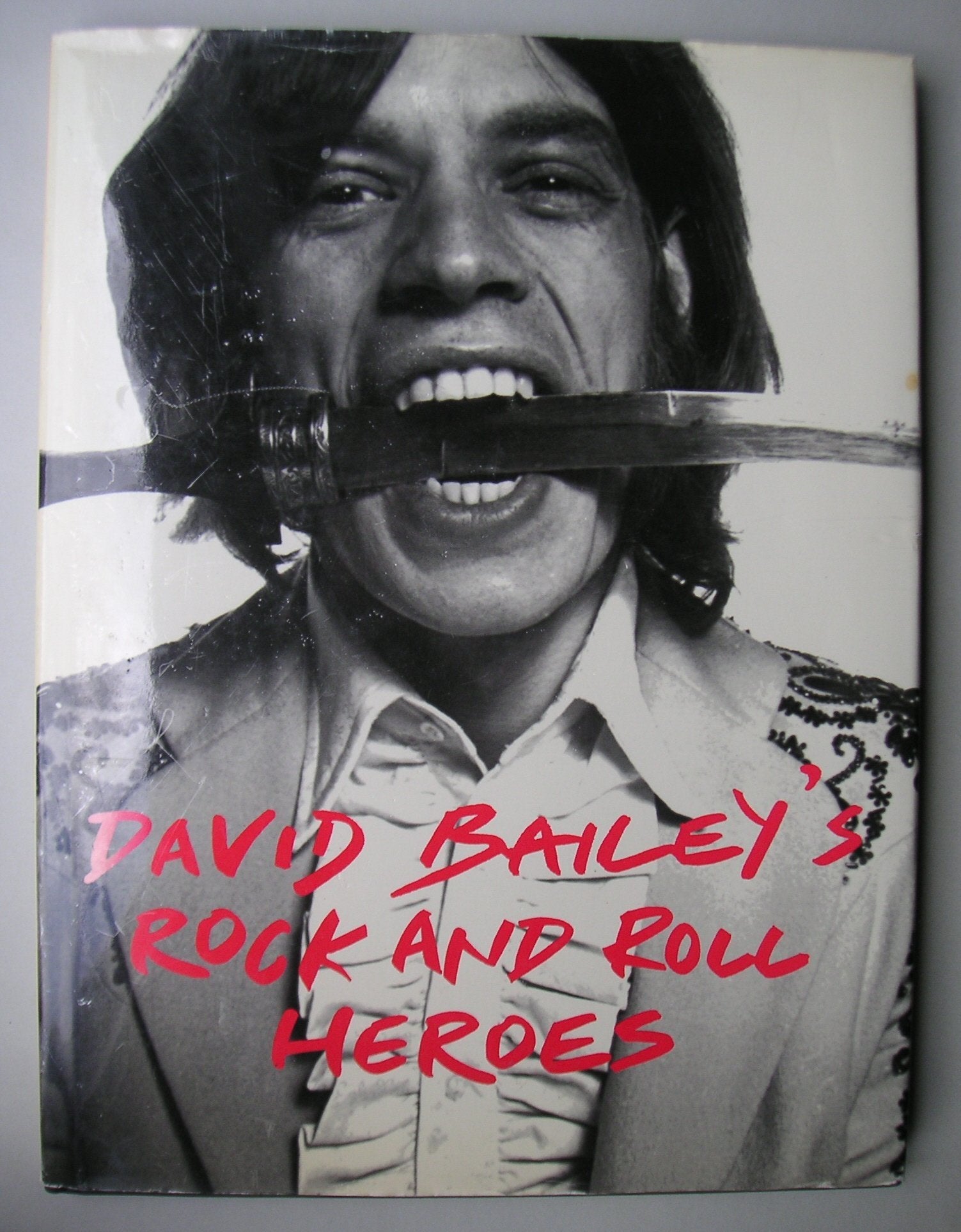 Product Image: David Bailey's Rock and Roll Heroes