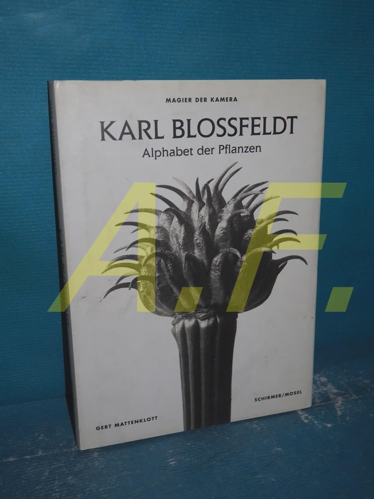 Blossfeldt. Pflanzen (German ed) Travel Books