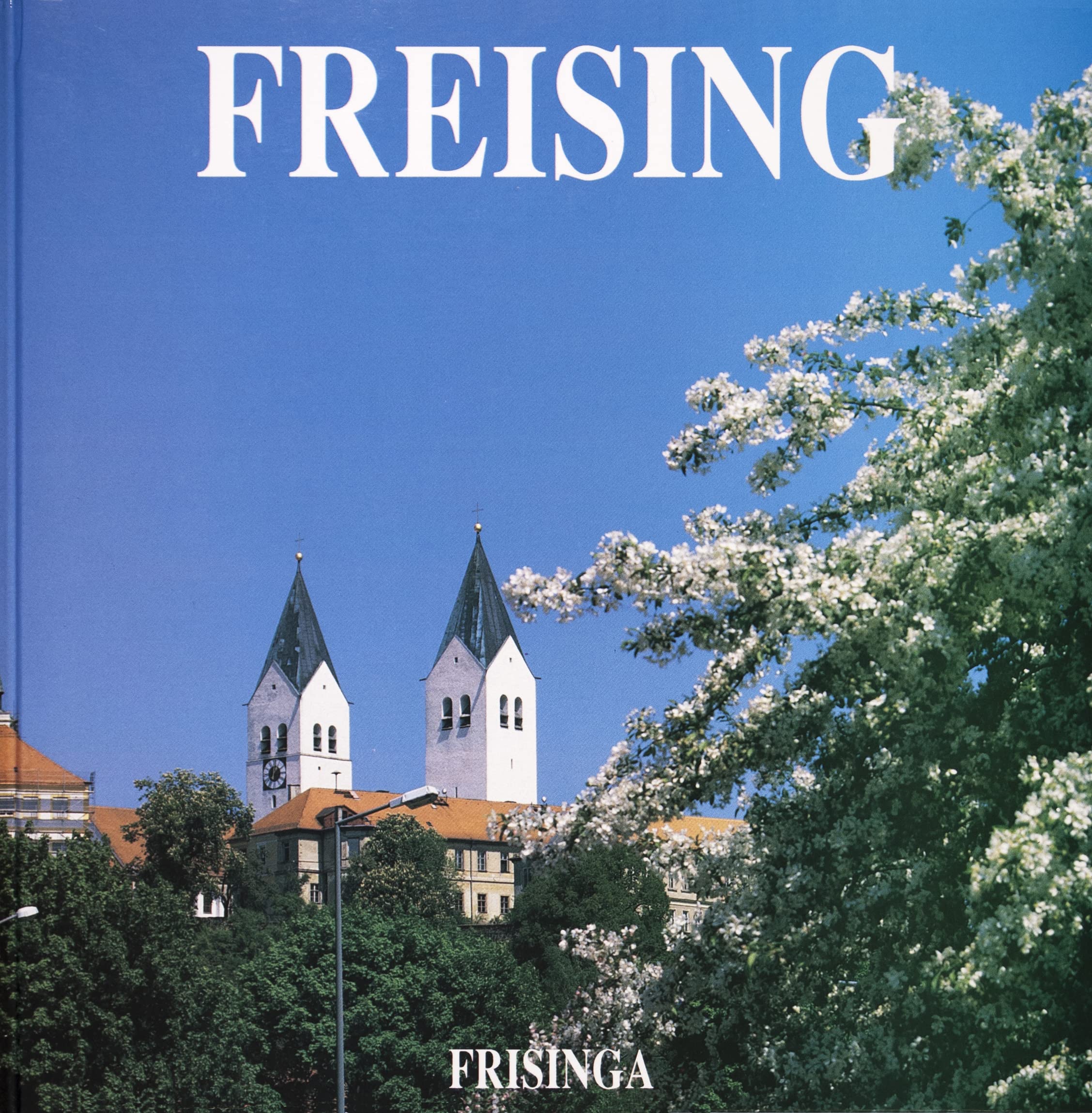 Freising. Die Bischofsstadt und ihre Geschichte /The Cathedral Town and its History Books