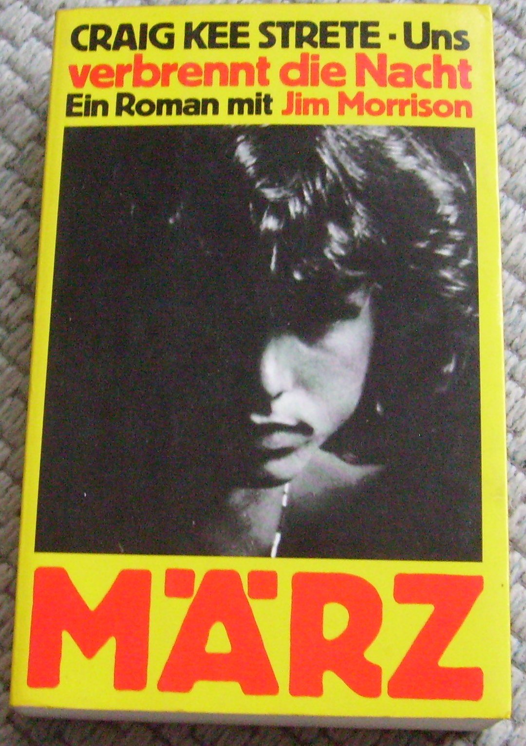 Uns verbrennt die Nacht. Ein Roman mit Jim Morrison Contemporary literature