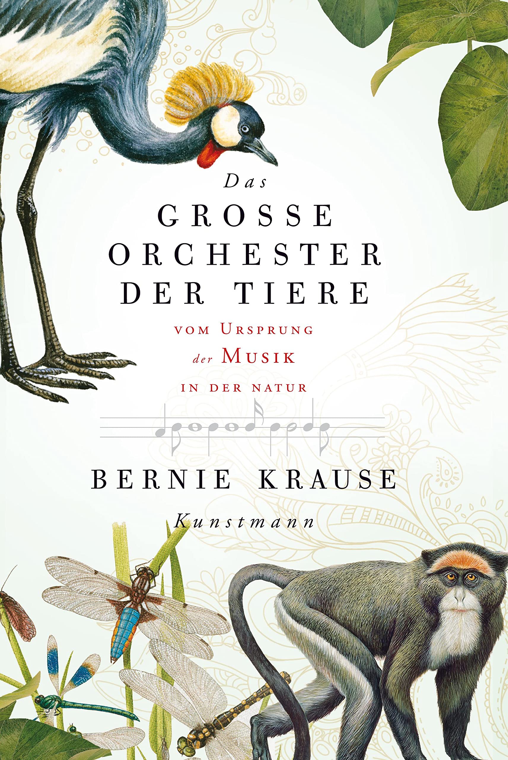 Das große Orchester der Tiere Architecture Books
