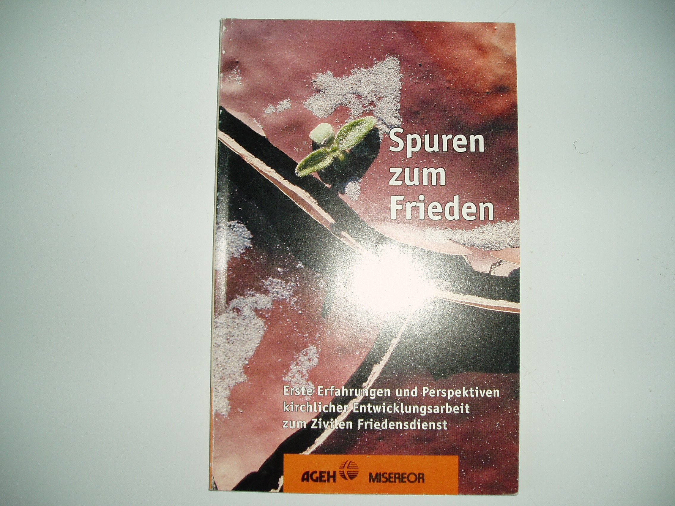 Spuren zum Frieden: Erste Erfahrungen und Perspektiven kirchlicher Entwicklungsarbeit zum Zivilen Friedensdienst Law