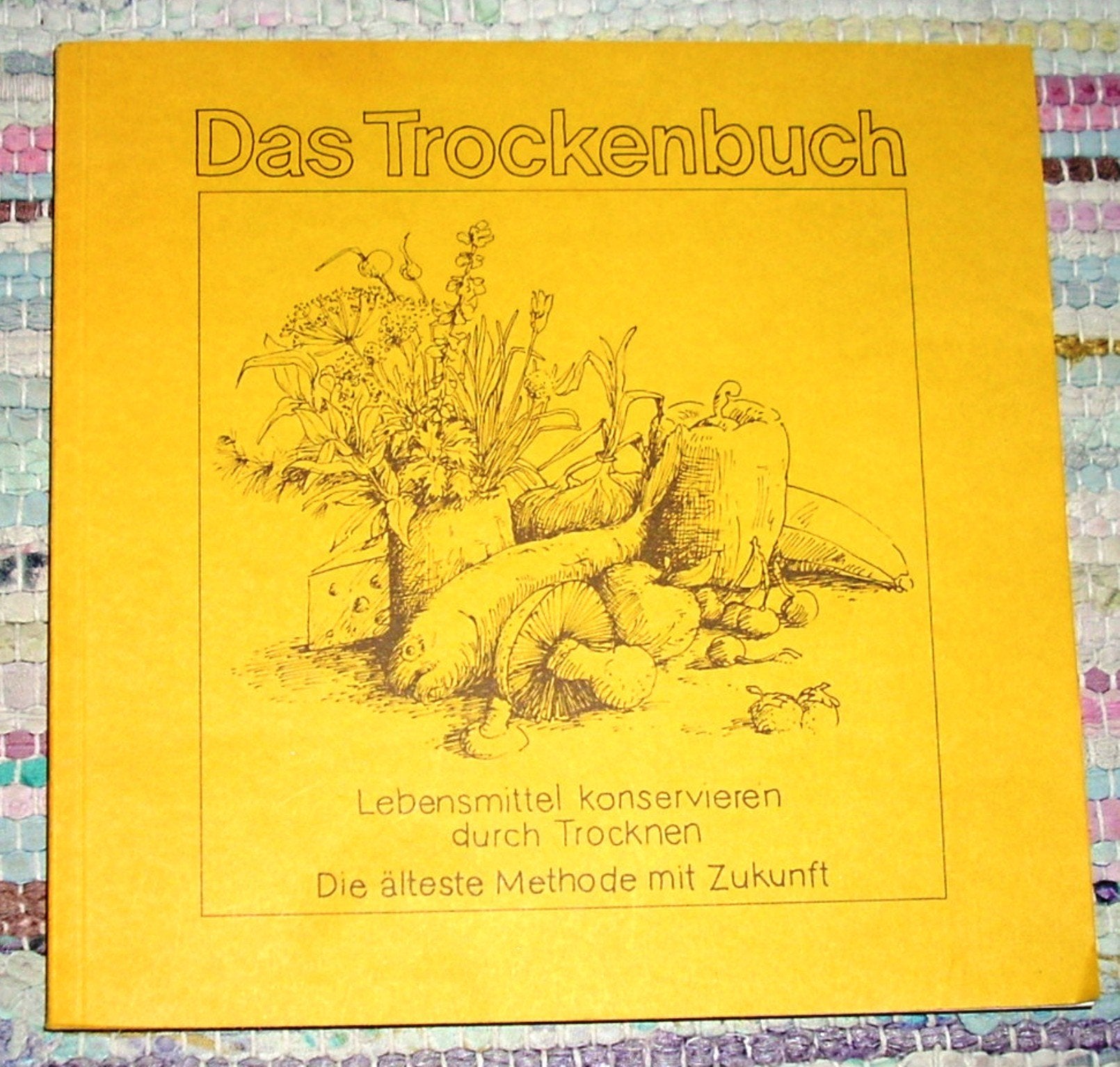 Das Trockenbuch. Lebensmittel konservieren durch Trocknen Hobbies & Crafts