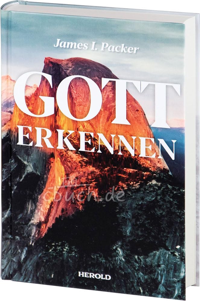 Gott erkennen Social Sciences Books